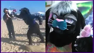Furry smacked out a N#$i