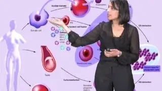 Sangeeta Bhatia Part 1: Engineering Tissue Replacements