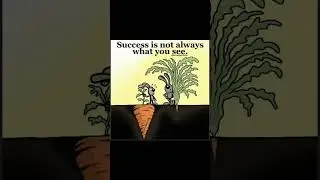 You always want what you don't have 