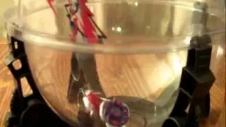 Beyblade Metal Fury Destroyer Dome Demo