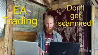 Top Tips to Select a safe, real EA by professional EA developer, algo trader