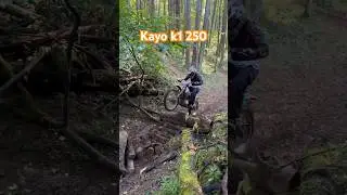 По скользким бревнам😬 #kayok1 #endurofail #dirtbike