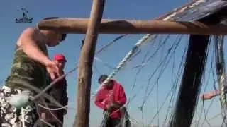 A arte xávega na Torreira (Murtosa). A companha do Marco