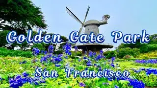 Golden Gate Park - San Francisco, California