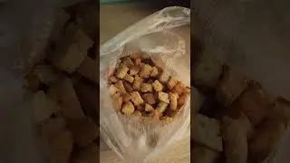 Выживаем в России. День 1 #survival #hungry #needmoney
