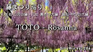 TOTO - Rosanna （藤まつり巡り）/ βillyMix.vol.284