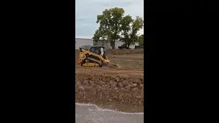 My First Cat Machine — Was It Worth It?