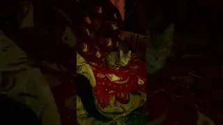 Менты! Шухер!