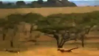 Самый быстрый человек в мире