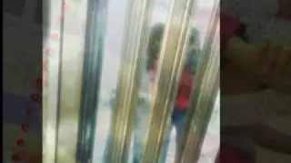 lo que siempre existira bffs