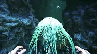 Cnidaria Taming