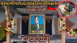 ચરમાળીયા દાદા ચોકડીનો ઈતિહાસ 🚩| #chokdi #khetlaji #KhetlaAapaTeaStall #dakla #nagpanchami #साप #સાપ