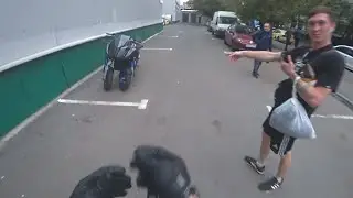 Мото Былины 