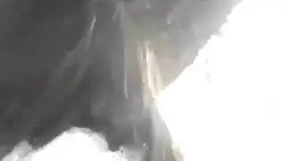 بنتي مشات تح...ا 🤤 فالغابة اش هاذشي🔥كالس كيبوس فالبنت بلا حشمة🤤