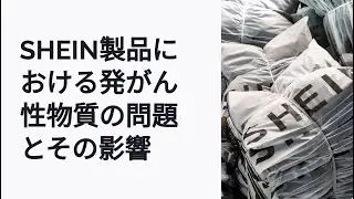 SHEINのネイルポリッシュとブレスレットの安全性は？