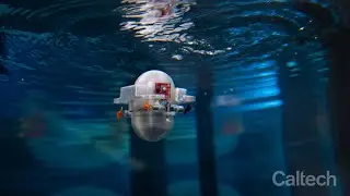 Using AI to Navigate Flow (Peter Gunnarson Presentation APS DFD 2021)