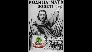 Новороссийцы поют Малую землю