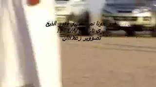 Самые быстрые Арабские собаки.😨😱😲