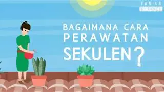 Sekulen Part 2 - Bagaimana Cara Merawat Sukulen/Sekulen?