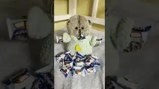 У МЕНЯ ЕСТЬ ВКУСНАЯ КОНФЕТКА / БАСИК ИЗ ТТ 