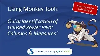 Using Monkey Tools - Quick Identification of Unused Power Pivot Columns and Measures!