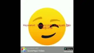 laf sokma 3