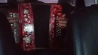 Три белых коня
