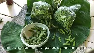 Soja verde edamame, como aperitivo, sugestão e produto da Trip Rural
