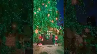 Wish you a marry christmas #christmas #marrychristmas