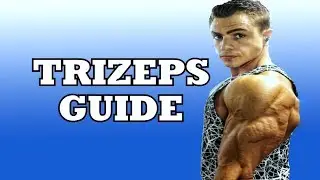TRIZEPS GUIDE - so ist WACHSTUM GARANTIERT!