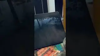 Мармок и котенок 🤣