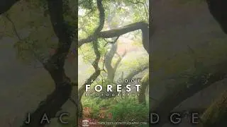Sneak peek preview of our BRAND-NEW Forest Photography Course with Jack Lodge – Launching Soon! 
