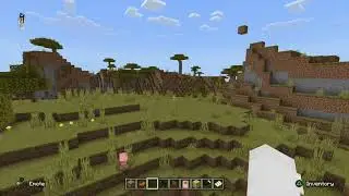 Minecraft_20240120202529