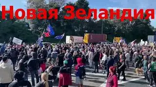 Мир колбасит