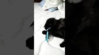 чесаться не будем😄 