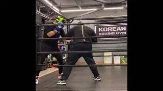 마동석 복싱 실력