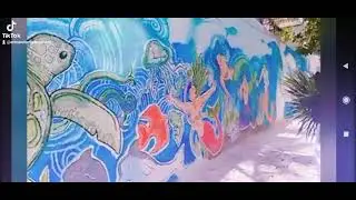 swimming through the Tulum shores