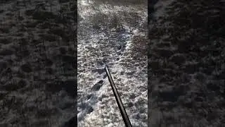 HARE HUNTING 