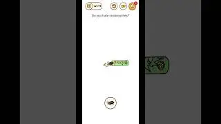 brain find 119