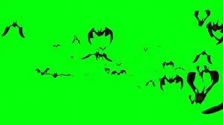 Bats Green Screen Effect