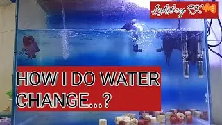 How i do water change in my fish tank
