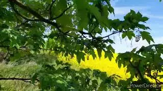 Der Profi Fotograf