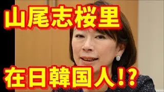 山尾志桜里は在日韓国人だったことが判明ｗｗｗ　比較画像がそっくりだと話題にｗｗｗ