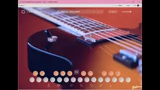 LANDR   Guitar  🇺🇦 🌎