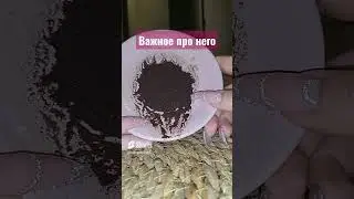 вам нужно знать это о нём #никкиами #гаданиенакофейнойгуще #гаданиенакофе