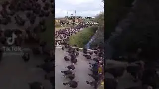 🇺🇦Наши био-воины🇺🇦