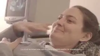 El Asombroso Viaje del Primer Trimestre de Embarazo