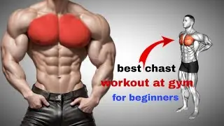 Best Chest Workout At Gym For Beginners