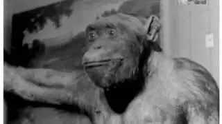 В музее природы