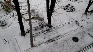 ОСББ Відінська-44 зима, двір 21-01-2024
